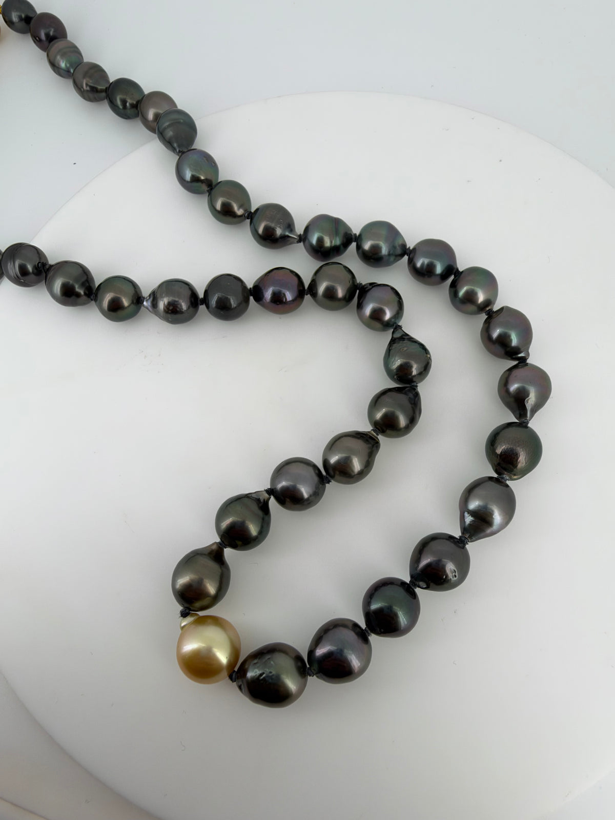 Tahitian Pearl Strand w/ One Champagne Pearl - 14K
