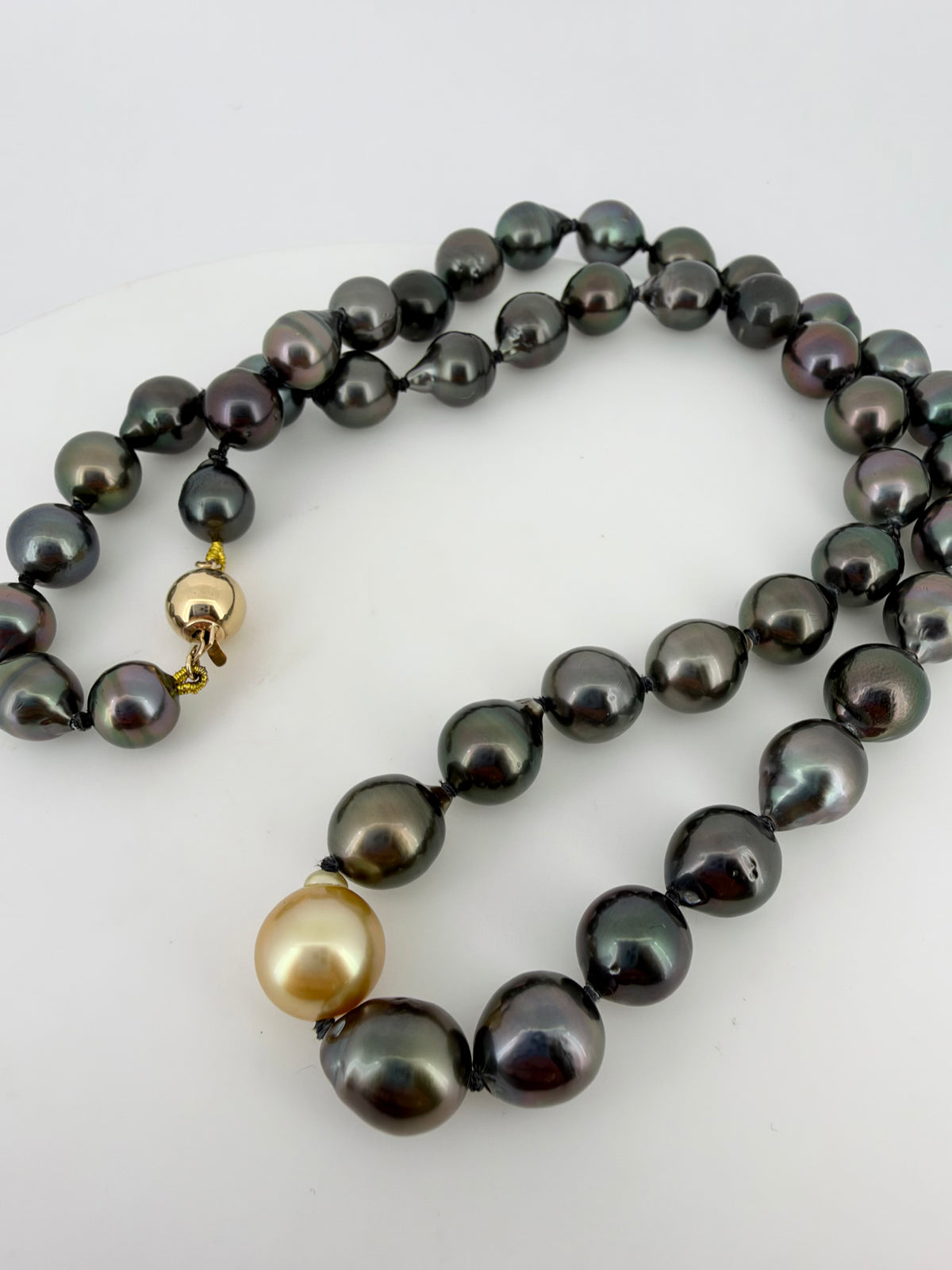 Tahitian Pearl Strand w/ One Champagne Pearl - 14K