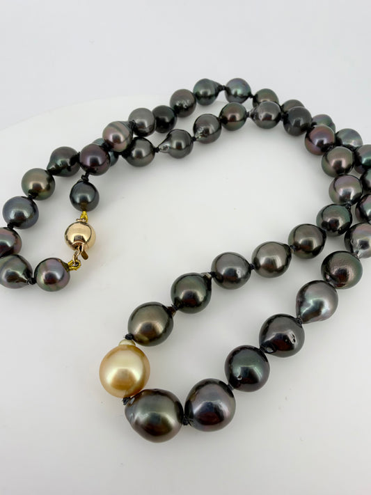 Tahitian Pearl Strand w/ One Champagne Pearl - 14K